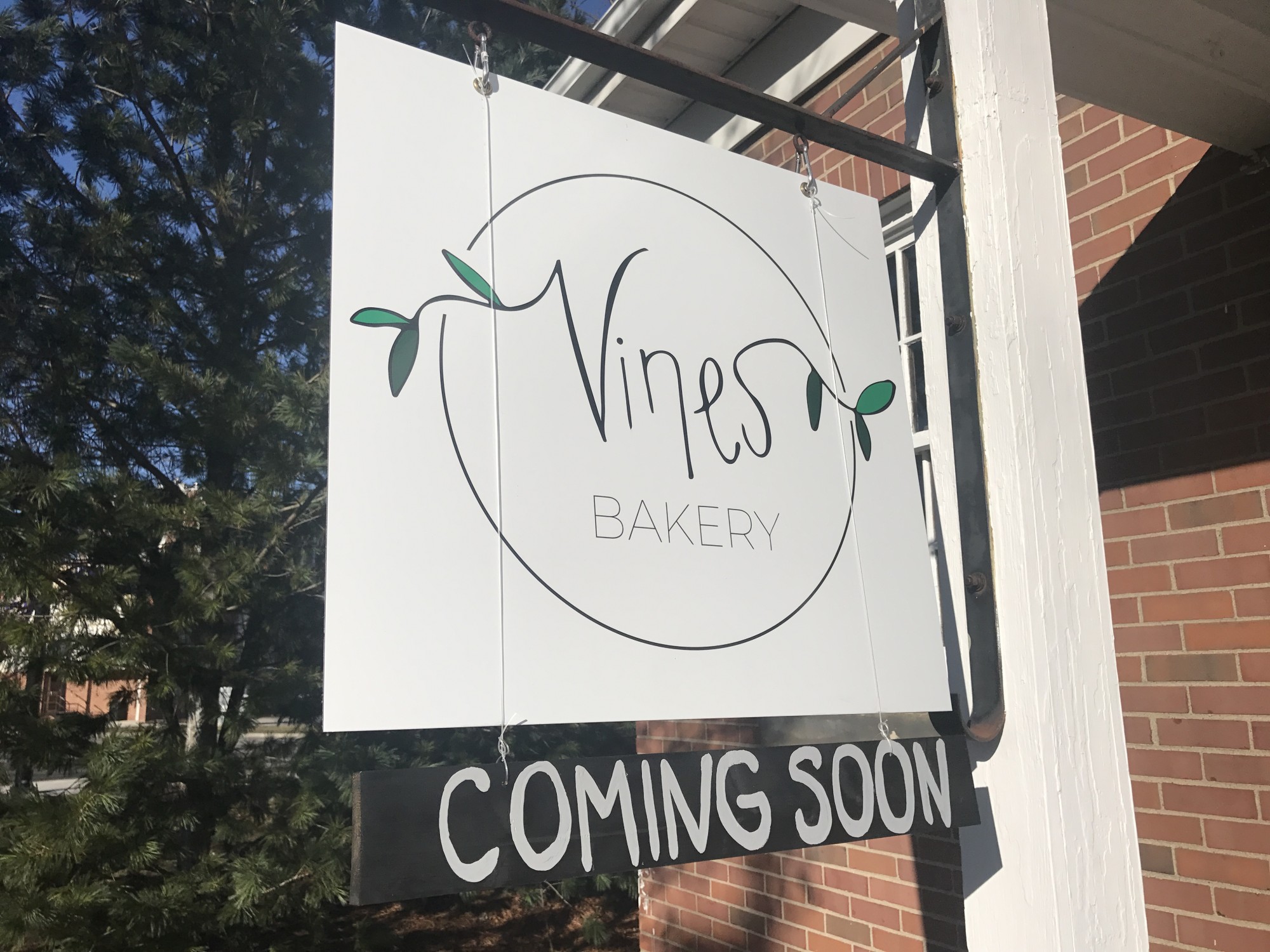 Vines Bakery: Scones, and Pies, and Cakes...Oh My!